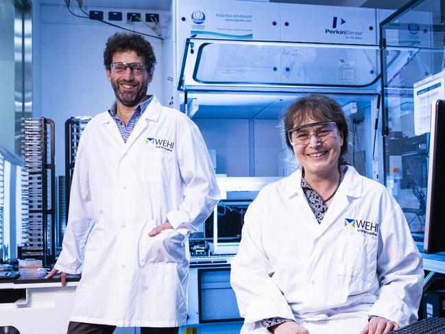 11/12/20 Husband and wife team Professor Anne Voss and Associate Professor Tim Thomas from WEHI have discovered a molecule that is a potential treatment for patients with advanced or metastatic breast,  prostate or lung cancer..  Aaron Francis/The Australian