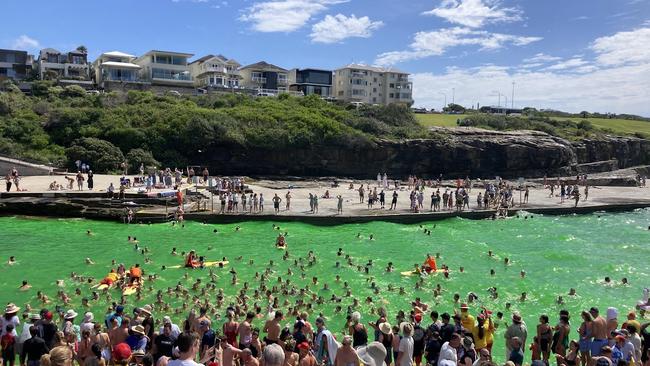 Clovelly Bay was turned green for Christmas Day. Picture: Supplied