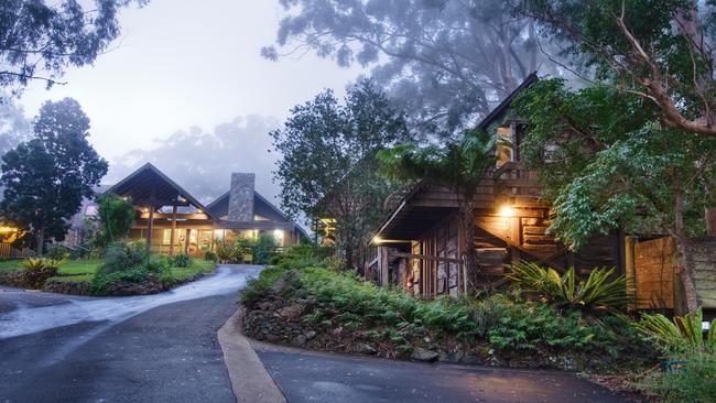 Binna Burra Lodge, on the elevated rim of the Gold Coast hinterland.