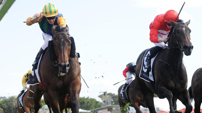 Ball Of Muscle (left) held off Invincible Star to win The Shorts. Picture: AAP