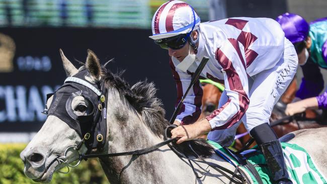 Lord Desanimaux can claim another TAB Highway win. Picture: Getty Images