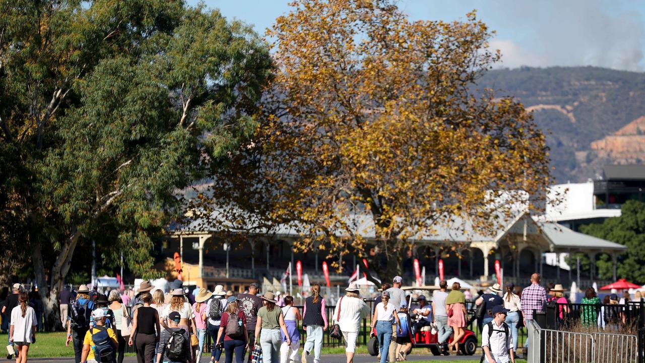 Thousands packed the heritage grandstand in Victoria Park to witness the show jumping. Picture: NCA NewsWire / Kelly Barnes