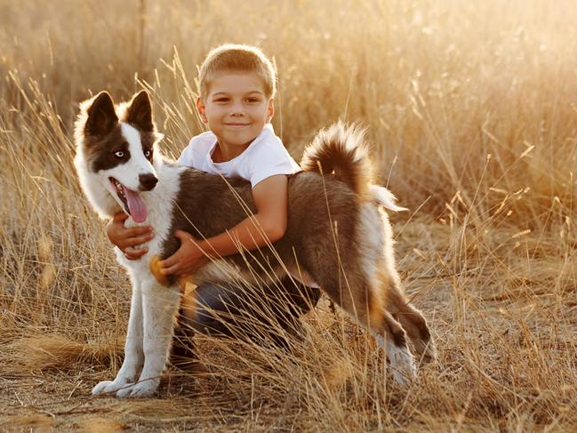 Comparison service Canstar recommends taking out pet insurance when an animal is young before medical conditions develop.