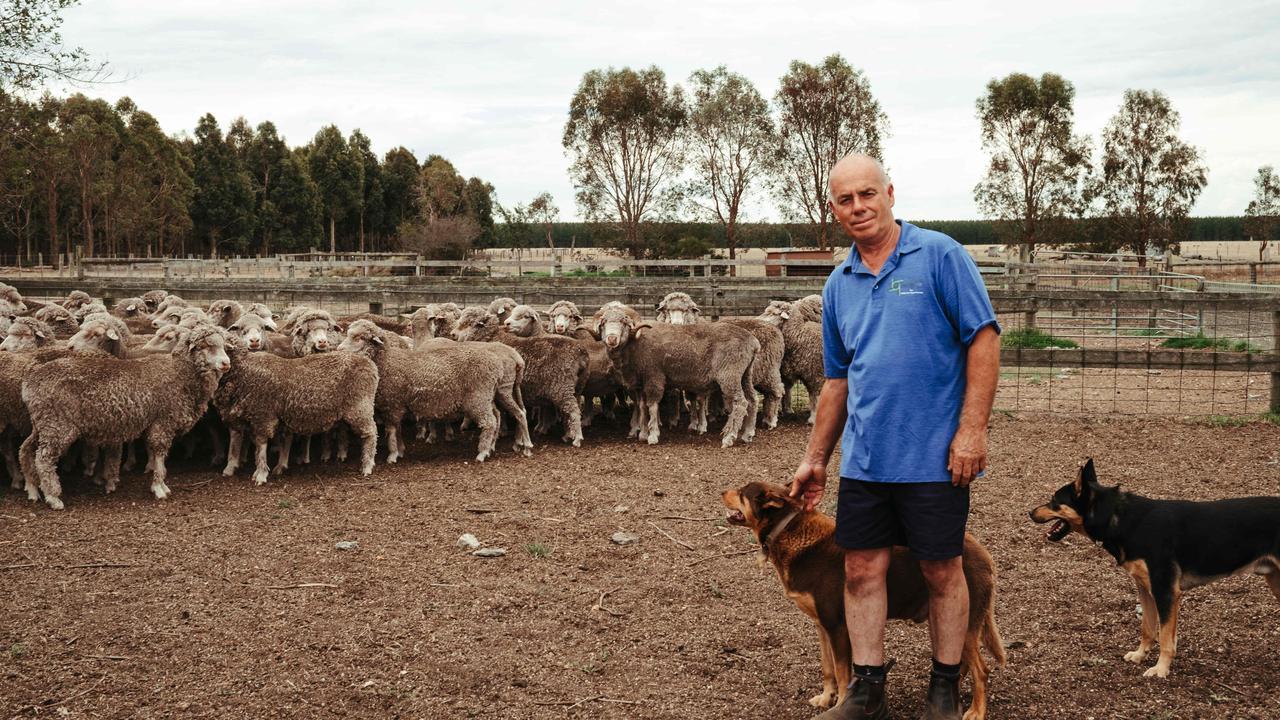 Off the sheep’s back: crisis of the wool industry