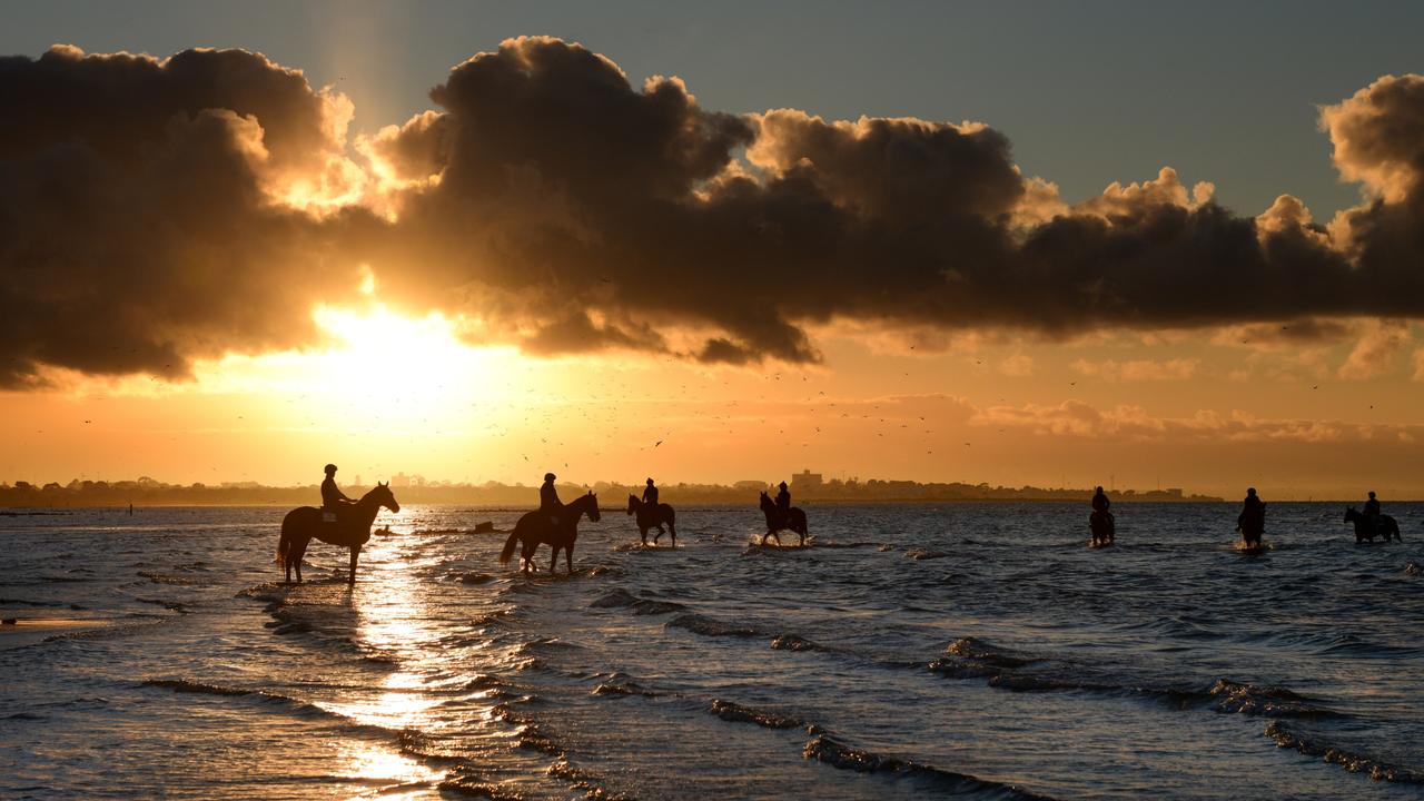 Riders take their horses for a beach session in Altona ahead of the Australia Cup at Flemington on Saturday. Picture: Vince Caligiuri/Getty Images