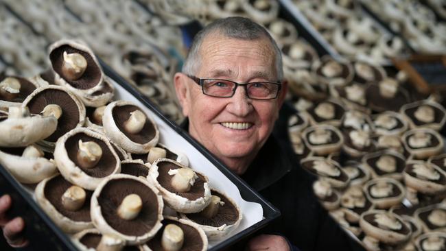 Damian Pike is the Mushroom Man at Prahran Market. Picture: Stuart Milligan