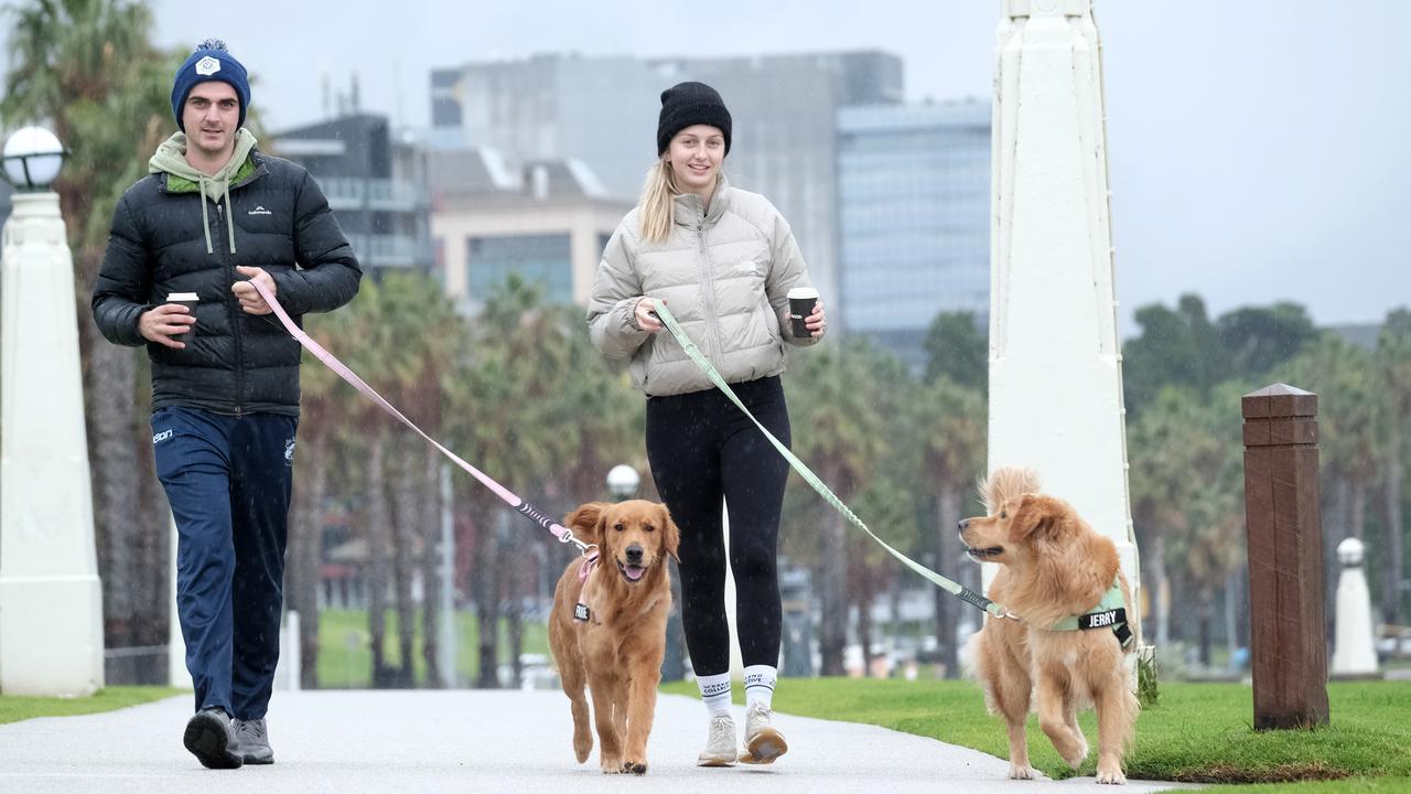 Record rainfall in six years falls overnight