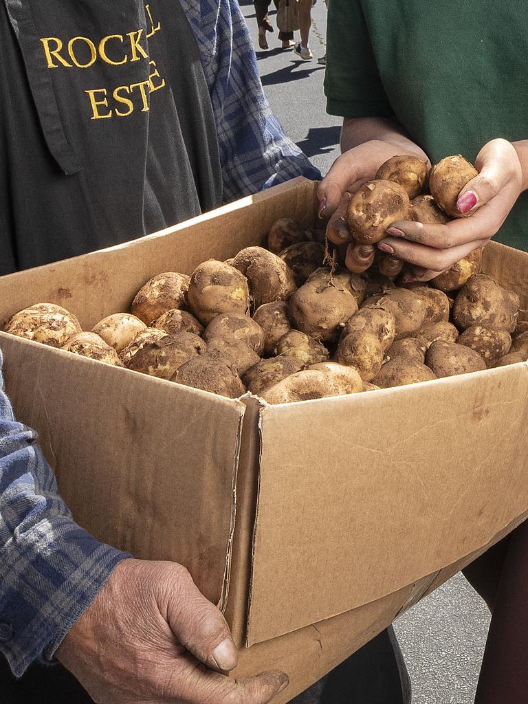 Fresh pink eye potatoes will be on offer. Picture: Chris Kidd