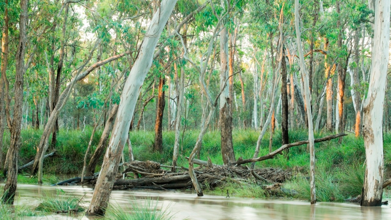 'Huge inequity of care' for patients in the bush