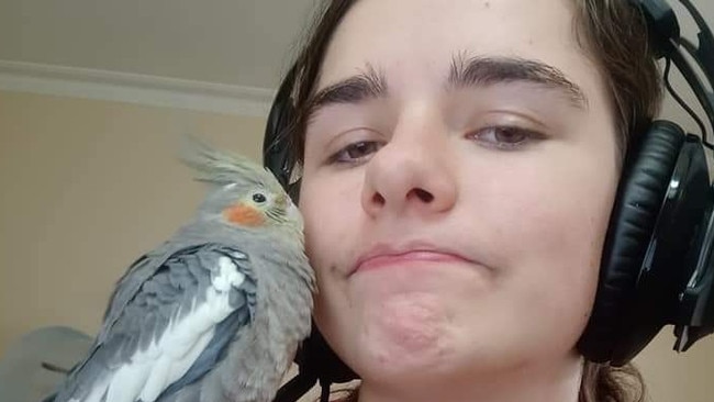 Rose Vux has been searching for her pet bird, Gaby, since August 18. Picture: Supplied