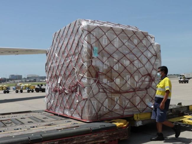 Footage of the delivery of 1.2 million rapid antigen tests into Australia at Sydney airport on Monday, procured by the NSW Government. Supplied