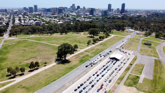 Cars queue for the COVID-19 testing facility at Victoria Park, just outside the Adelaide CBD, on November 16. Picture: Kelly Barnes/Getty Images