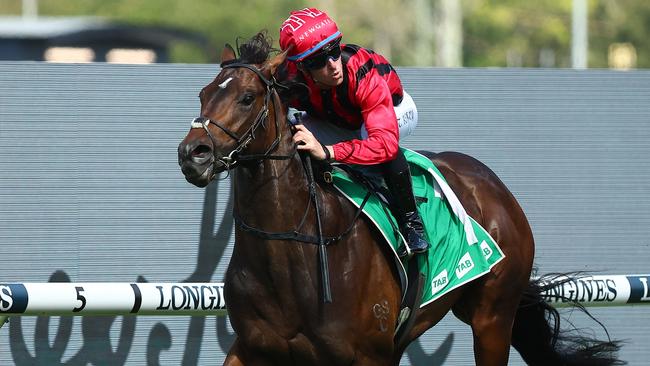 King’s Gambit in full flight winning the Group 2 Roman Consul Stakes in Sydney. Picture: Jeremy Ng/Getty Images