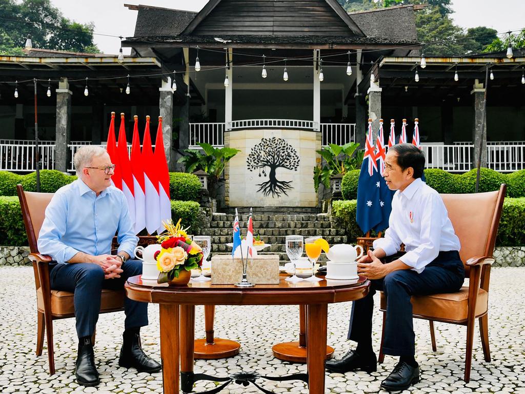 Mr Albanese met with Indonesian President Joko Widodo at the presidential palace in Bogor on Monday. Picture: Muchlis/Presidential Palace/AFP