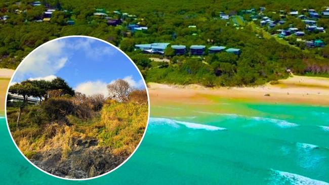 Redland City Council is investigating 20 dead trees overlooking Cylinder Beach in front of the Stradbroke Island Beach Hotel. Pictures: Contributed