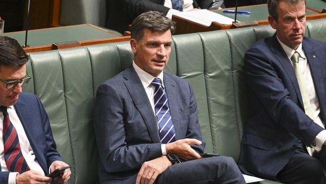 Shadow Treasurer Angus Taylor’s seat of Hume will be impacted. Picture: NewsWire / Martin Ollman