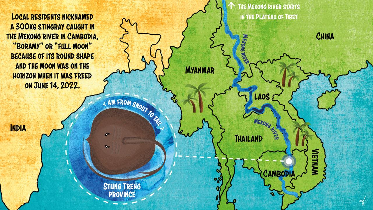Map showing the Mekong River and the location where the world's largest freshwater fish was caugh. PictureL Abi Fraser
