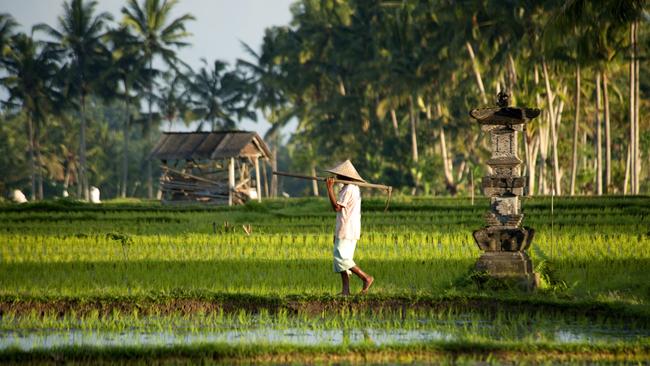 Horton’s novel centres on two 30-something academics who have decided to leave their squalid home in Melbourne and take a two-week holiday, their first in a long time, in Bali. Picture: Pete Seward/Lonely Planet Traveller Magazine