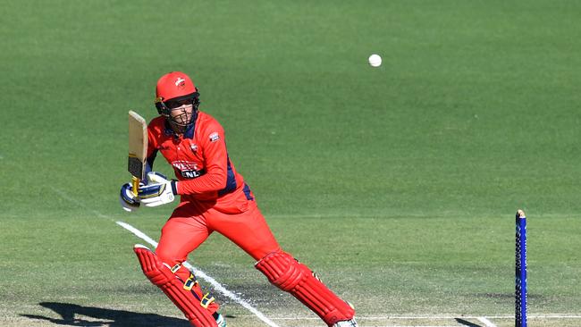 Alex Carey in action for the Redbacks