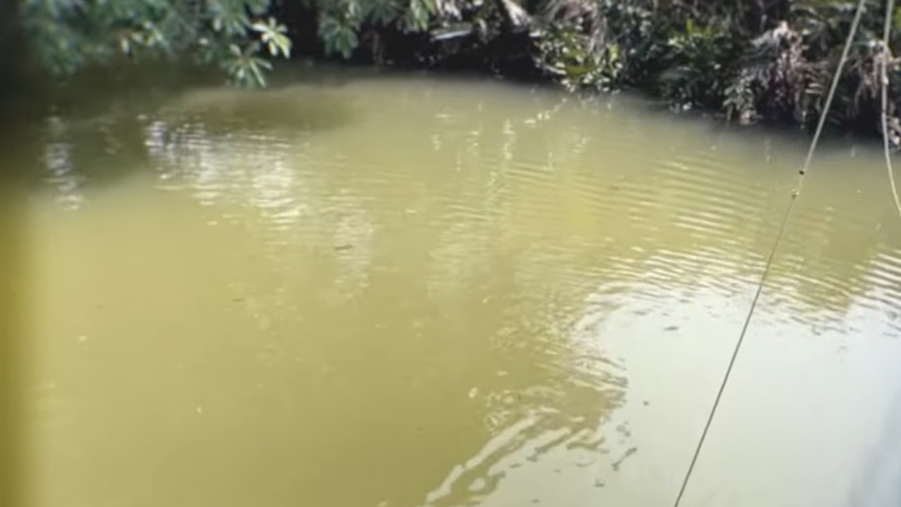 The new species of jellyfish was found in a shrimp pond at the Hong Kong Mai Po Nature Reserve.