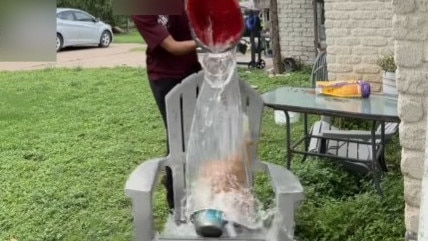 People have uploaded videos of themselves pouring water and ice on their pets. Picture: TikTok