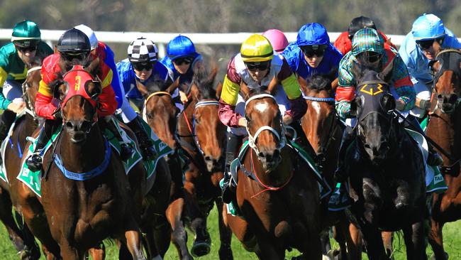 Racing in New South Wales on Friday is at Murwillumbah.