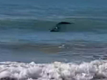 Horror photo at popular beach