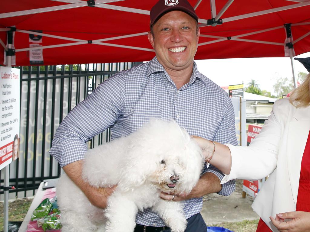 Dogs like Noodles the bichon frise will not be banned under the dangerous dog amendments. Picture: NCA NewsWire/Tertius Pickard