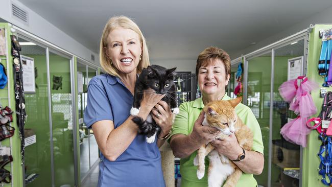 Gold Coast Airport Chief Operating Officer Marion Charlton joins Friends of the Pound president Sonia Tritcher and some of the animals at the Friends facility at Tweed Heads South. Photo: MEL BELANIC