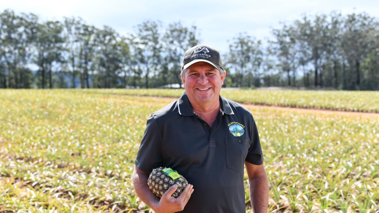 Tropical Pines grower Ken Fullerton, from Elimbah in Queensland, said lockdowns are hitting his pineapple farm hard, making it tougher to sell them. Picture: supplied