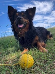 Bella Ramsden says Teddy is her “little rascal”. He’s so cute that we bet he gets away with it!