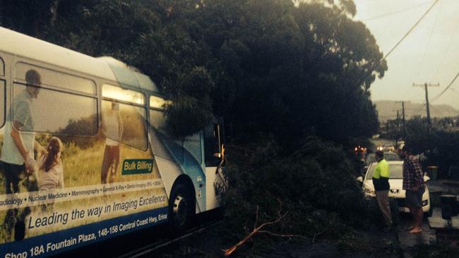 A tree fell across a bus in Steyne Rd, Saratoga, on the NSW Central Coast. Picture: Carleen Frost