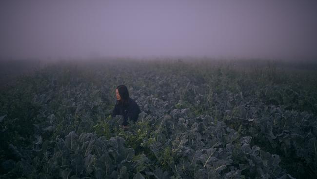 Christina Kelman, 29, on her family farm in Wallacia. Picture: Nic Walker