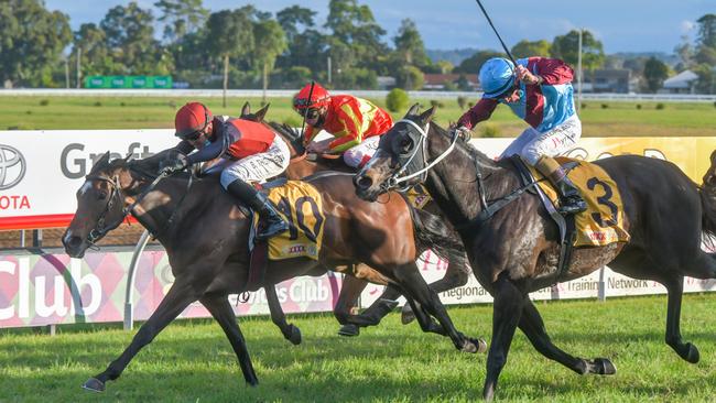 Jockey Ben Thompson drives 10 Purrfect Deal forward to win the 2021 Grafton Cup at the Clarence River Jockey Club July Carnival.