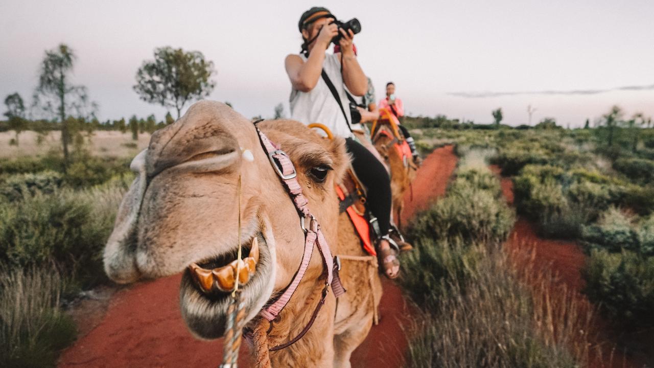 Saddle up and enjoy seeing Uluru from the hump of a camel. Picture: Tourism NT/Jackson Groves