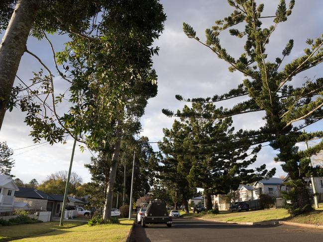 How every Toowoomba household could get a tree