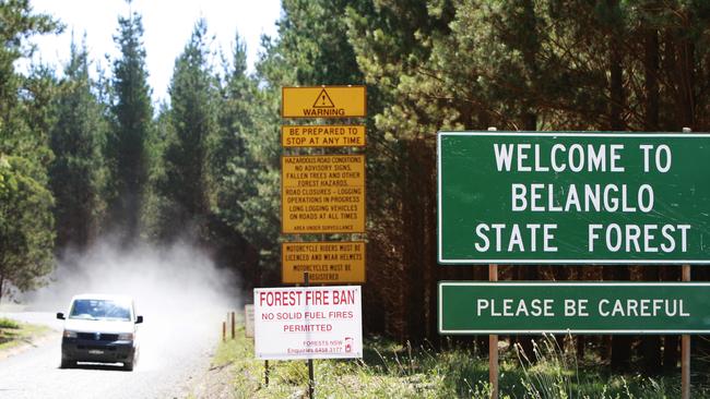 The NSW Belanglo State Forest, where serial killer Ivan Milat killed seven backpackers. Picture: ADAM TAYLOR