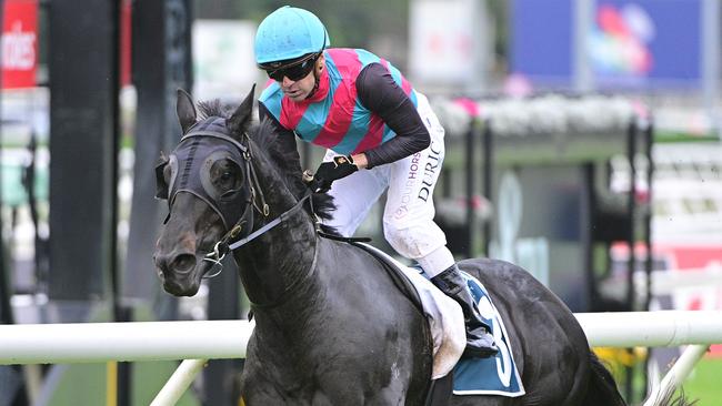 Stradbroke Handicap favourite Antino will be seen in the Group 1 Kingsford Smith Cup at Eagle Farm on Saturday. Picture: Grant Peters - Trackside Photography.