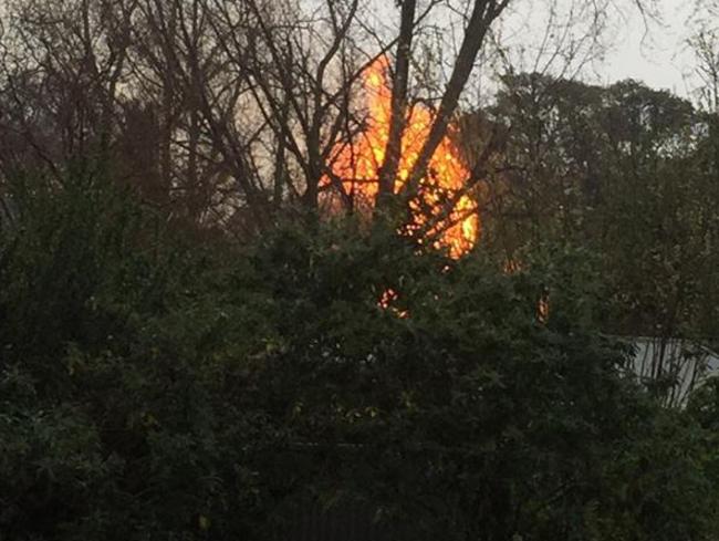 A fire breaks out after lightning struck trees in Gilberton, SA. Picture: Ethan Powell