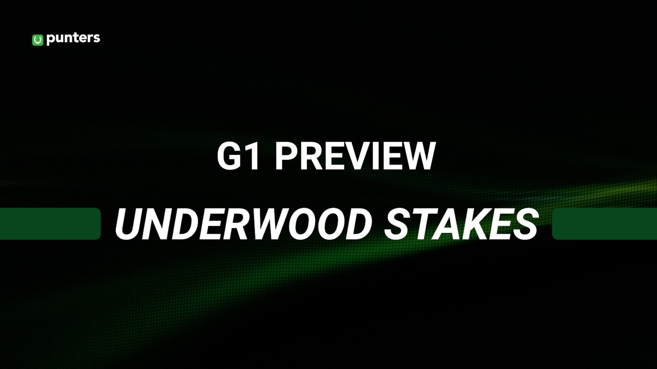 2024 Underwood Stakes Tips & Preview