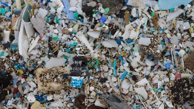 Why plastic bag bans are important: Plastic could end up in our seafood ...