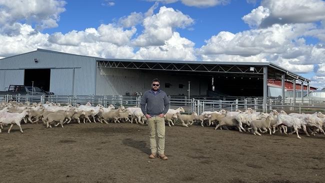 The sheep enterprise is operated near Hay on 1813ha, and other seasonal leases nearby, and comprises a flock of about 700 Merino ewes joined to White Suffolk rams.
