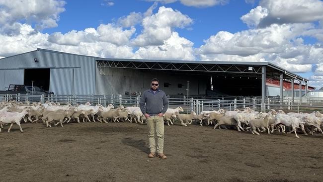 The sheep enterprise is operated near Hay on 1813ha, and other seasonal leases nearby, and comprises a flock of about 700 Merino ewes joined to White Suffolk rams.