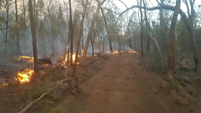 Fires near Forest Ridge and Cypress Gardens.