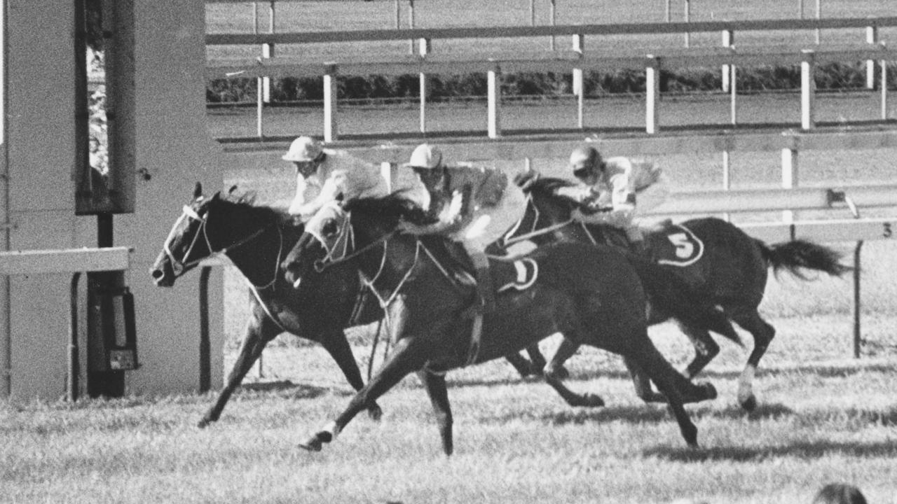 File pic Dalrello winning at Eagle Farm  21 May 1977 - sport horseracing action 35/L/2300-2