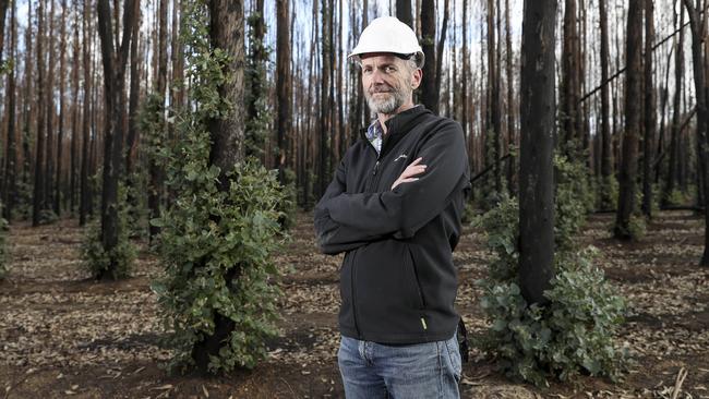 Kangaroo Island Plantation Timber managing director Keith Lamb. Picture: Sarah Reed