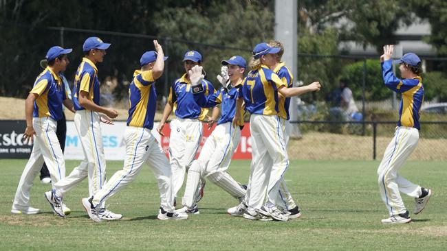 Ormond players celebrate a wicket. Picture: Valeriu Campan