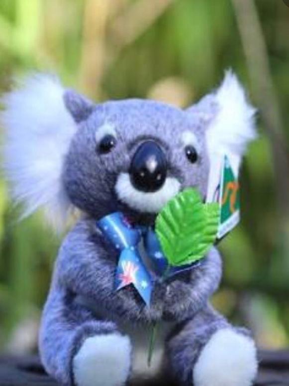 Fake ‘Australian Made’ Oz Natives koala advertised for sale by well-known tourist location. Picture: Supplied