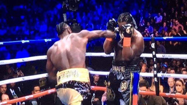 Deontay Wilder went beast mode in defeating Bermane Stiverne.