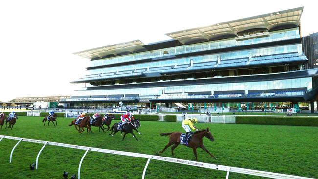 Addeybb will return to defend his crown in the Queen Elizabeth Stakes. Picture: Matt King/Getty Images